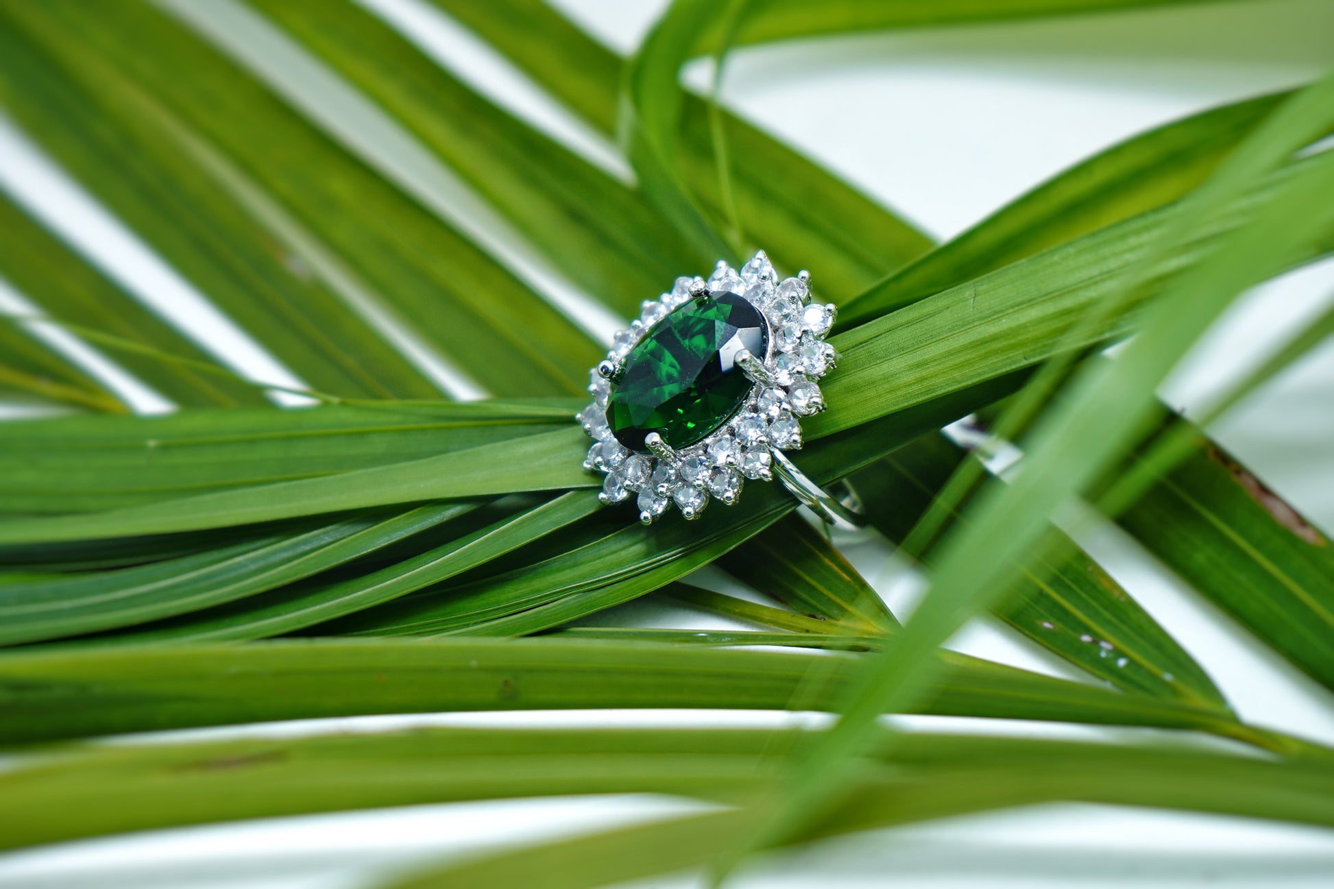 Elle CZ Oval Designer Rings - Chaandi Rivaaz