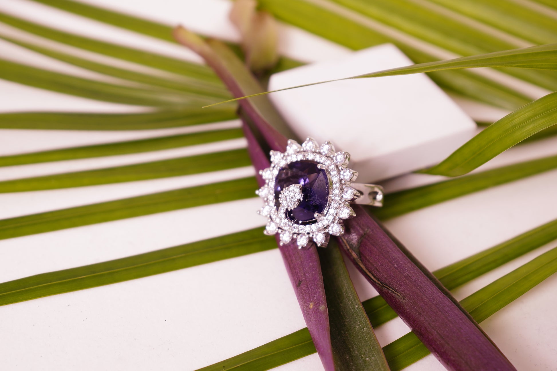 Alora CZ Designer Rings - Chaandi Rivaaz