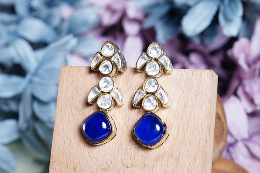 Nisha's Designer Earrings